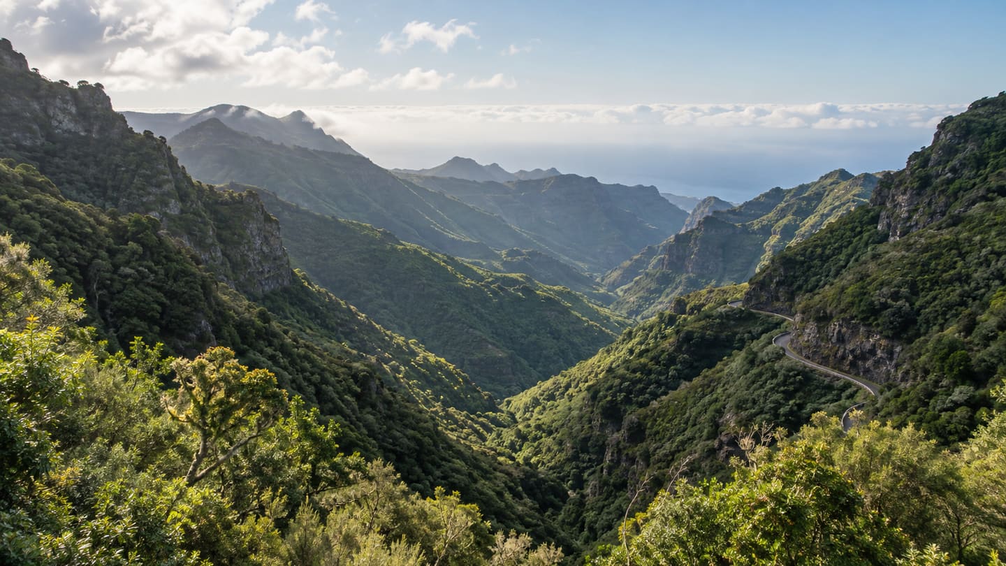 Green volcanic ravines and a winding mountain road on La Gomera