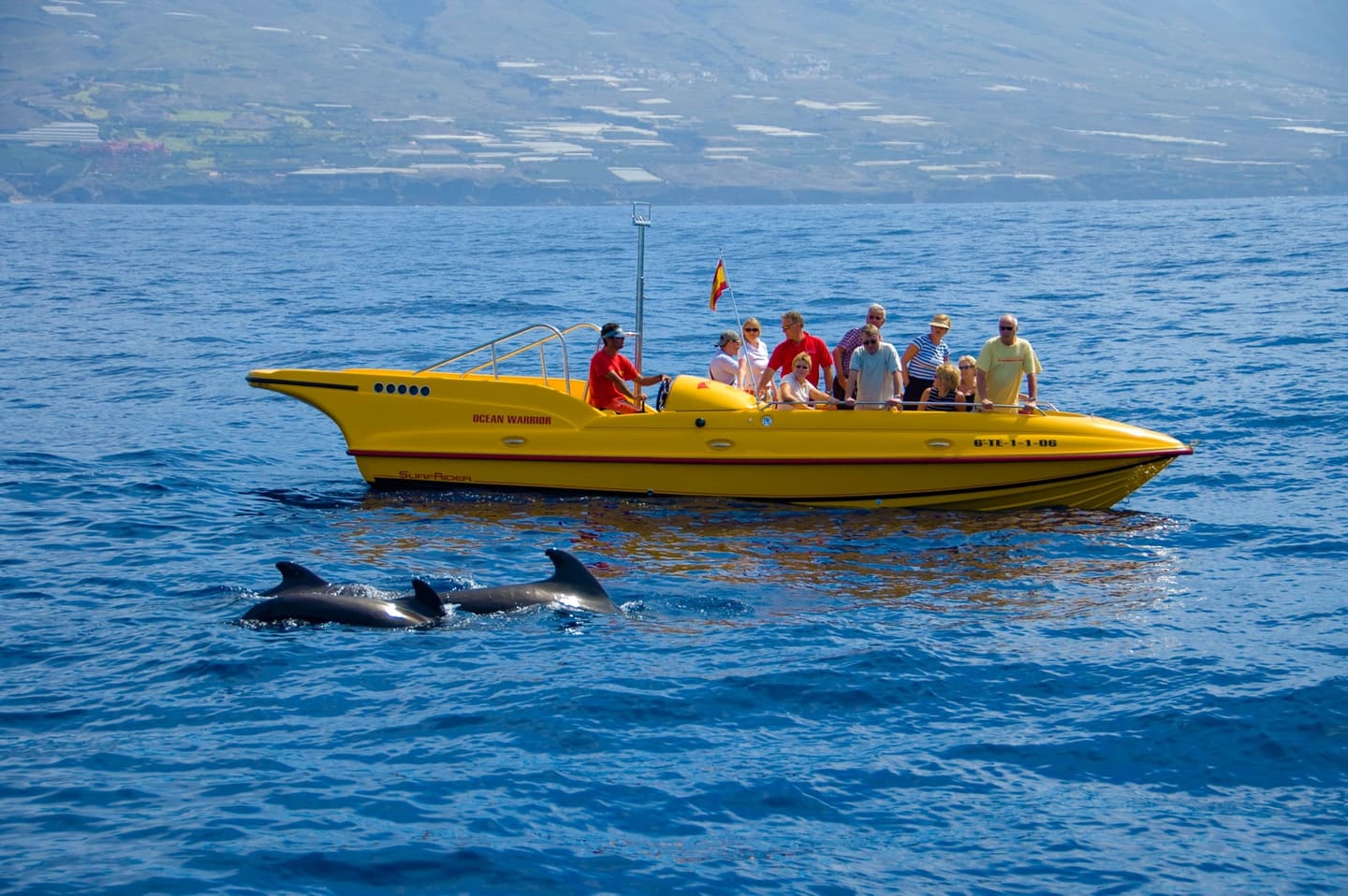A whale-watching boat off the Los Gigantes coast