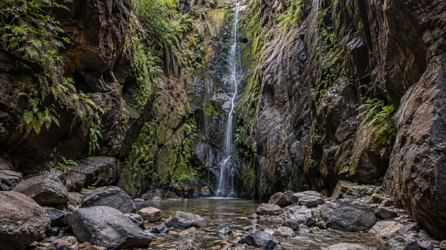 A slender waterfall descending dark volcanic rock inside a narrow ravine