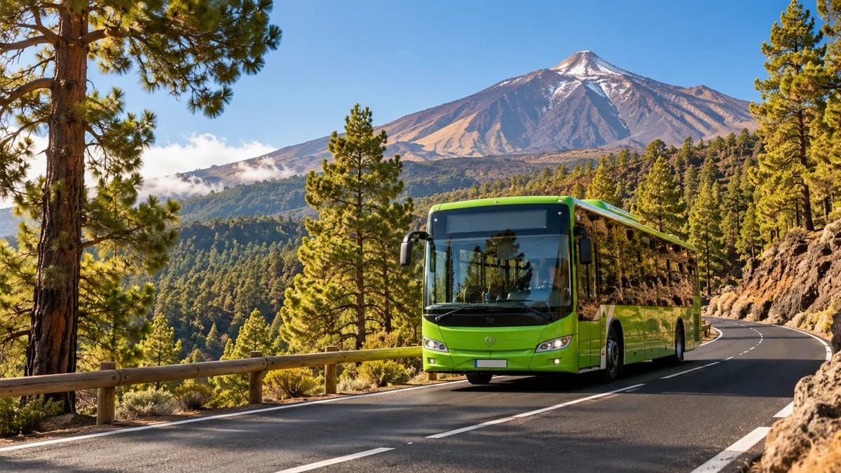 Green public bus on a winding road through Tenerife pine forest below Mount Teide