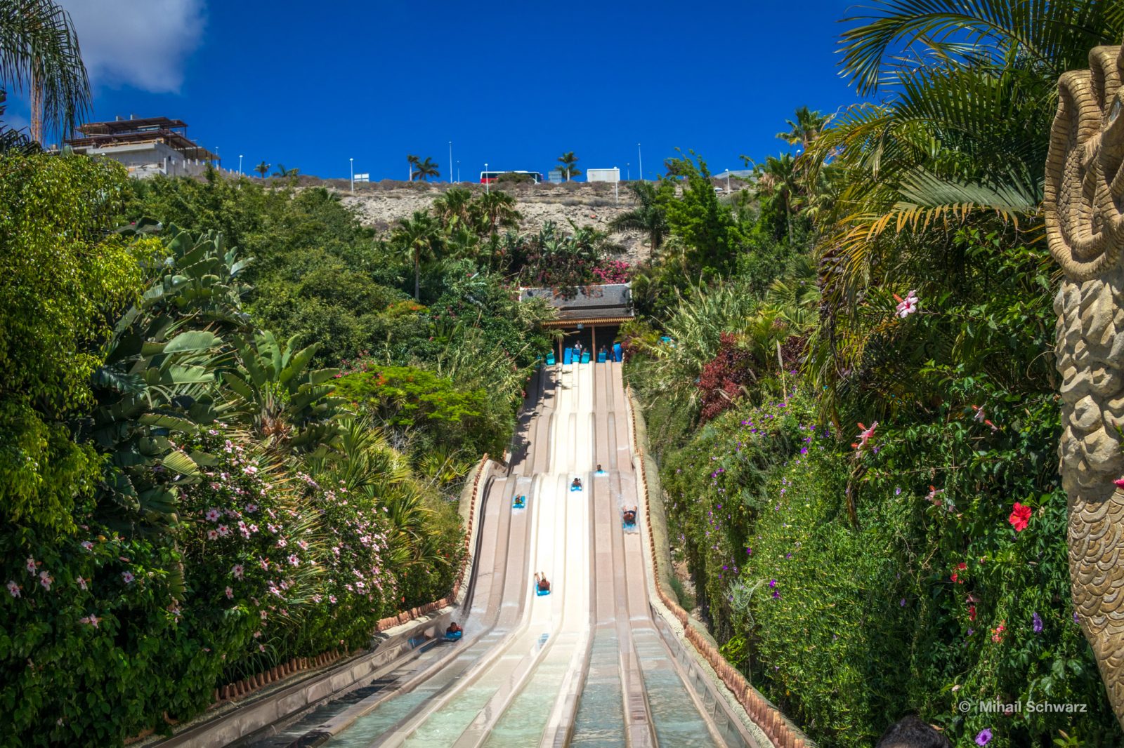 Naga Racer in Siam Park