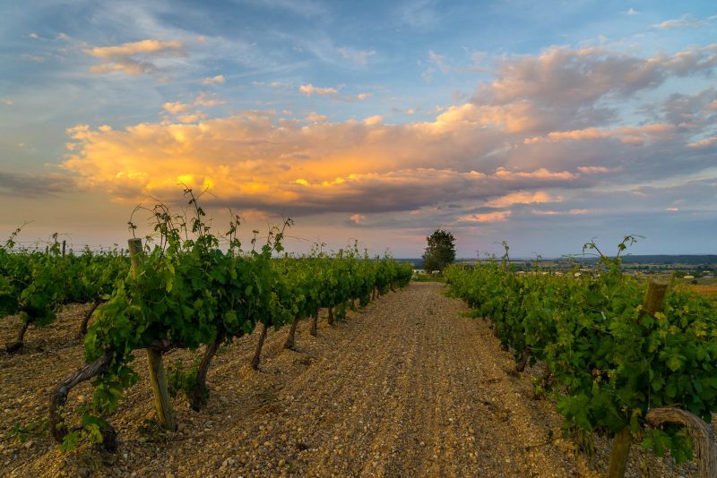 Ribera del Duero